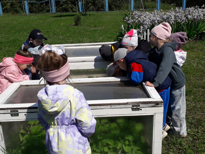 Дошколята наблюдают за теплицей Дошколята наблюдают за теплицей.