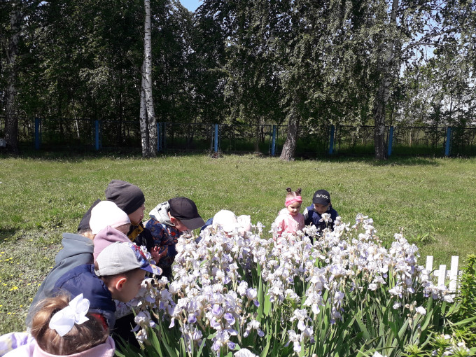 Дети наблюдают за клумбой Дети наблюдают за клумбой.